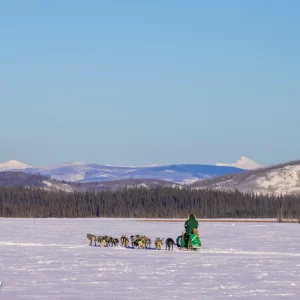 Friends of the Yukon Quest