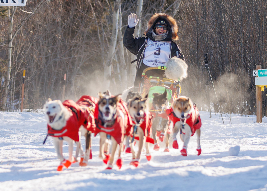 Musher waving with dog team