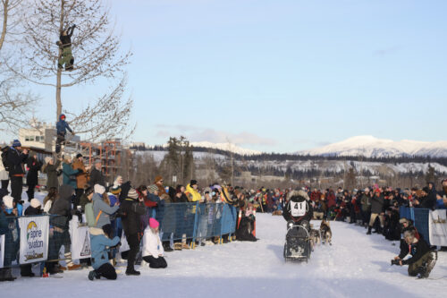 Crystal Schick/ Independent
Yukon Quest on February 11, 2023.