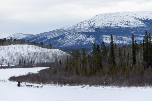 Crystal Schick/ Independent
Yukon Quest on February 11, 2023.