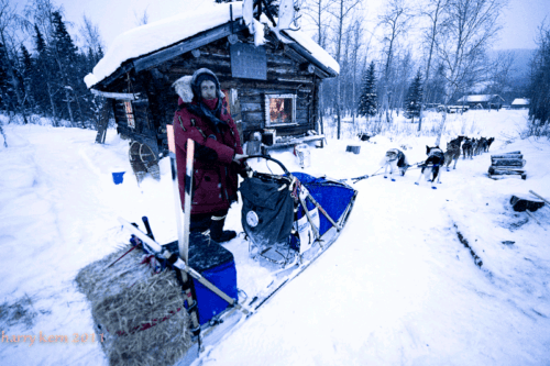 Quest Musher Sebastian Schnuelle does a pit stop at Forty Mile in 2011, during his last Yukon Quest Race.