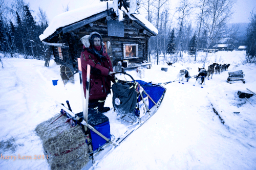 Quest Musher Sebastian Schnuelle does a pit stop at Forty Mile in 2011, during his last Yukon Quest Race.