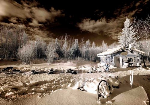 Forty Mile seen through infrared lens. Nice spot for a rest for both dogs and mushers!
