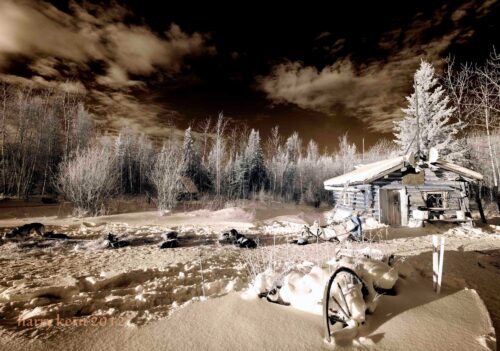 Forty Mile seen through infrared lens. Nice spot for a rest for both dogs and mushers!